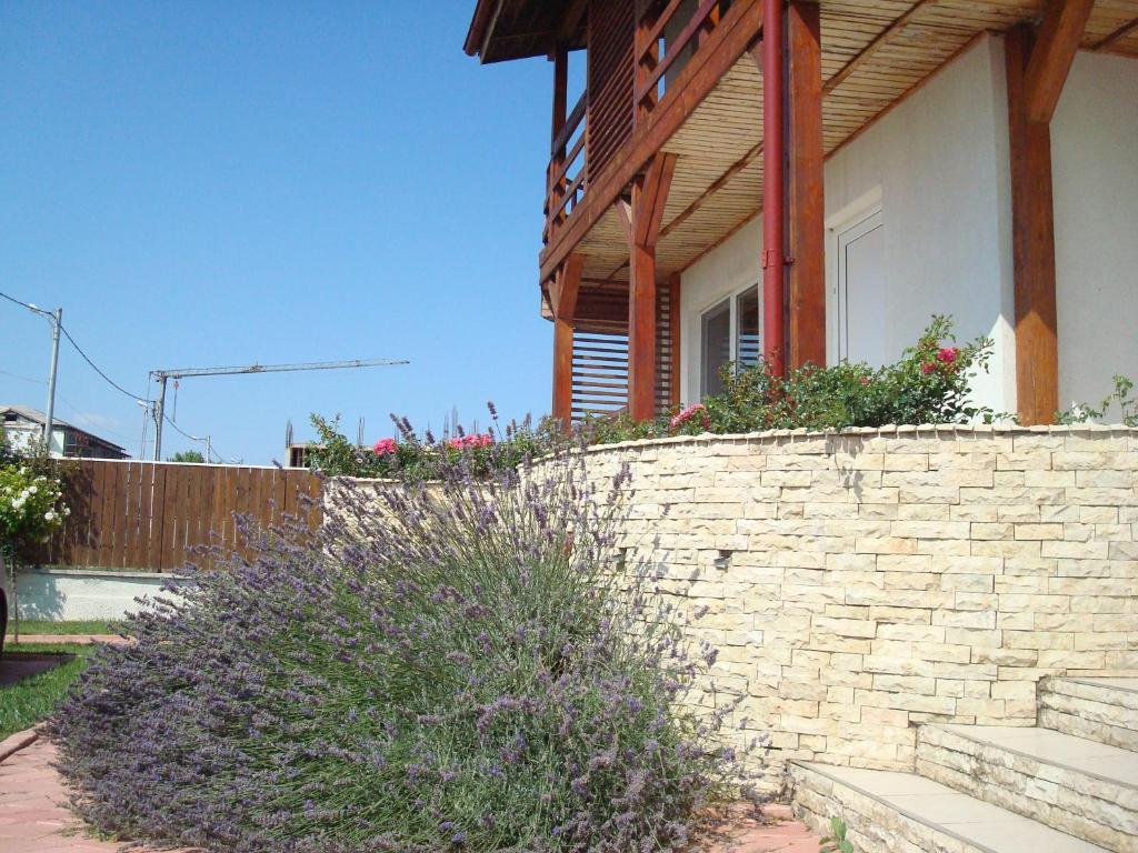 Pension Oasis Costinești Exterior foto